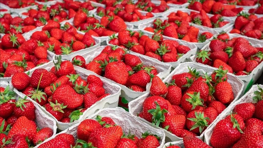 Strawberries